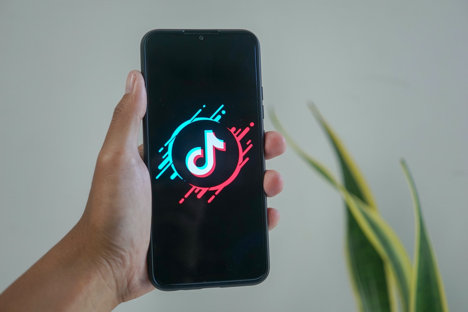 Tiktok community guidelines insidetechworld
